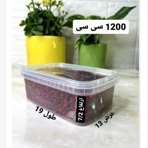 ظرف فریزری پولاد 1200 سی سی