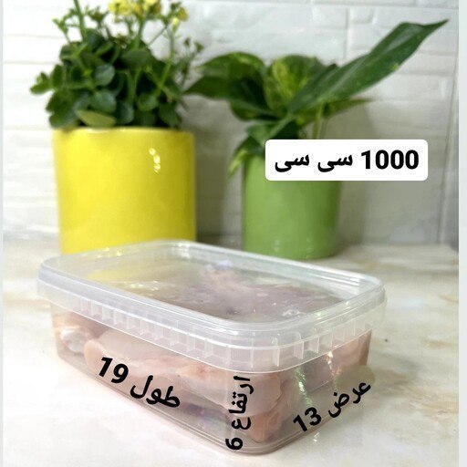 ظرف فریزری پولاد 1000 سی سی