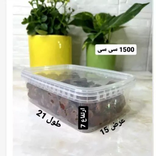 ظرف فریزری پولاد 1500 سی سی