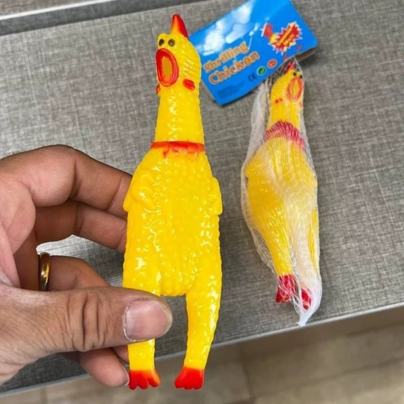 مرغ نالان کوچک 16 سانت