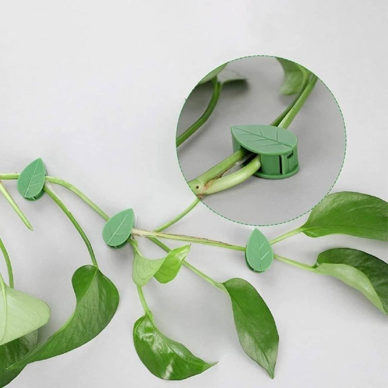 گیره باغچه پتوس بسته 10 عددی