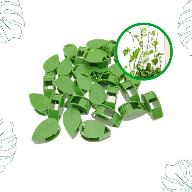 گیره باغچه پتوس بسته 10 عددی