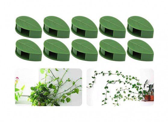 گیره باغچه پتوس بسته 10 عددی