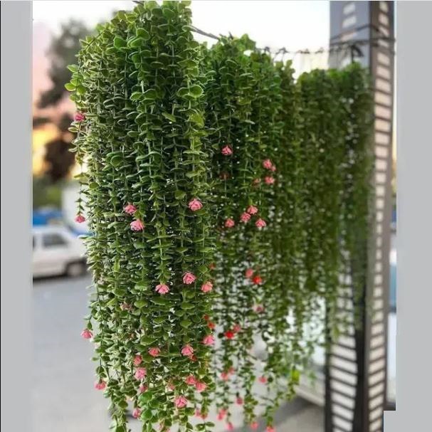 آویز شمشاد 16 شاخه گل دار 100 گرم بسته 10 عددی